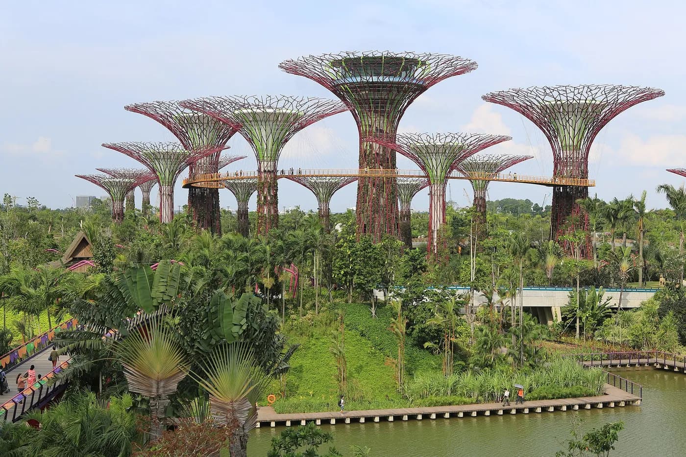 Gardens by the Bay supertrees at night